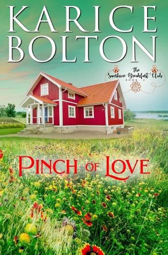 Cover image for Pinch of Love