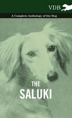 Cover image for The Saluki - A Complete Anthology of the Dog