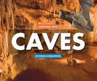 Cover image for Looking Into Caves