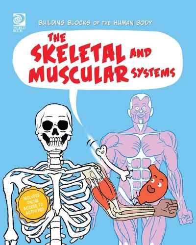 Cover image for The Skeletal and Muscular Systems