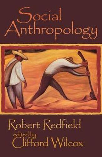 Cover image for Social Anthropology: Robert Redfield