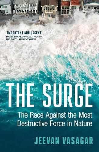 Cover image for The Surge