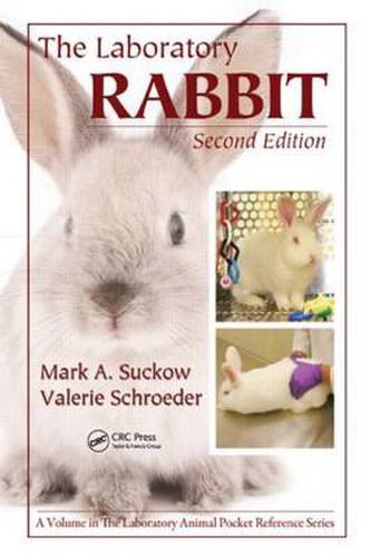 Cover image for The Laboratory Rabbit