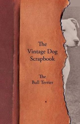 Cover image for The Vintage Dog Scrapbook - The Bull Terrier