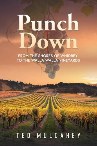 Cover image for Punch Down