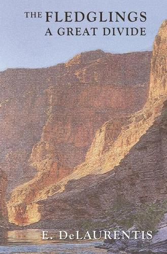 Cover image for The Fledglings: A Great Divide