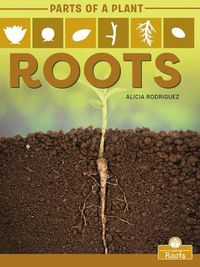 Cover image for Roots