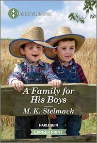 Cover image for A Family for His Boys