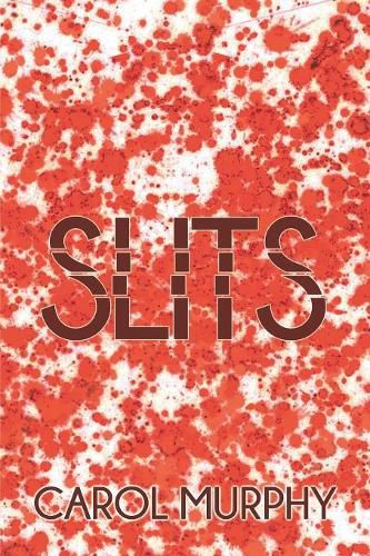 Cover image for Slits