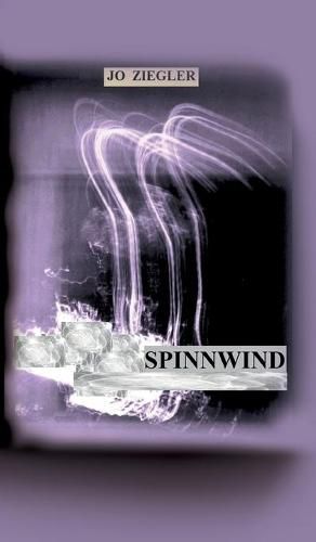 Cover image for Spinnwind: Ein Roman Vom Erinnern Und Vom Vergessen