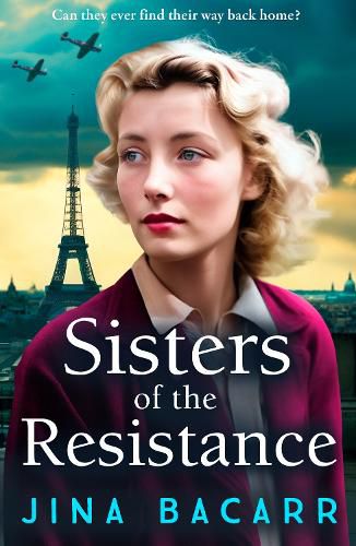 Cover image for Sisters of the Resistance