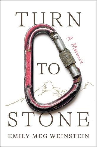 Cover image for Turn to Stone