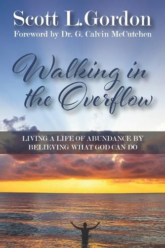 Cover image for Walking in the Overflow