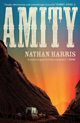 Cover image for Amity