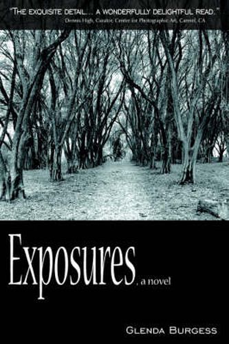 Cover image for Exposures, a Novel