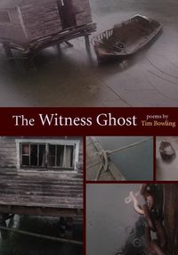 Cover image for The Witness Ghost