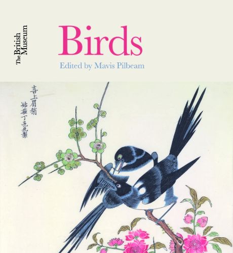 Cover image for Birds