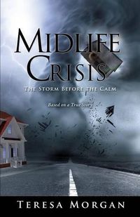 Cover image for Midlife Crisis: The Storm Before the Calm