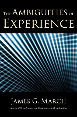 Cover image for The Ambiguities of Experience