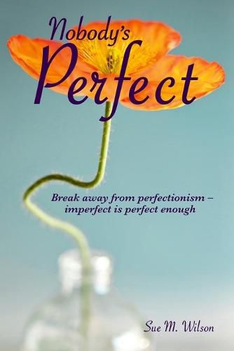 Cover image for Nobody's Perfect