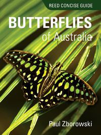 Cover image for Reed Concise Guide to Butterflies of Australia: Reed Concise Guide