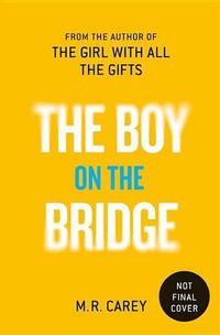 Cover image for The Boy on the Bridge