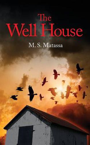 Cover image for The Well House