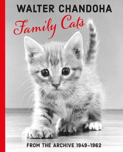 Cover image for Walter Chandoha: Family Cats From the Archive 1949-1962