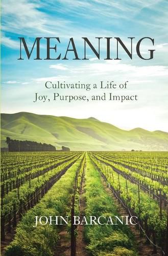 Cover image for Meaning: Cultivating a Life of Joy, Purpose, and Impact