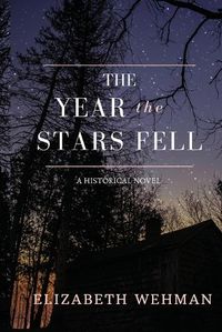 Cover image for The Year the Stars Fell