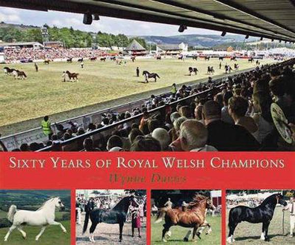 Cover image for Sixty Years of Royal Welsh Champions