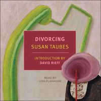 Cover image for Divorcing