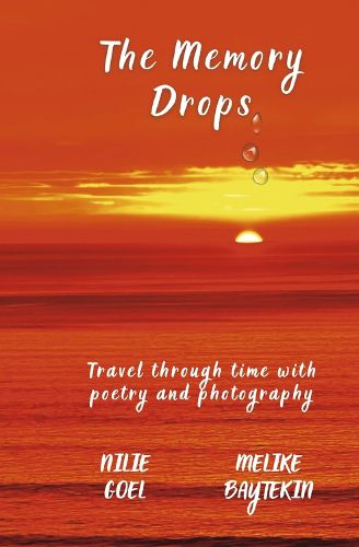 Cover image for The Memory Drops