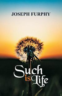 Cover image for Such is Life