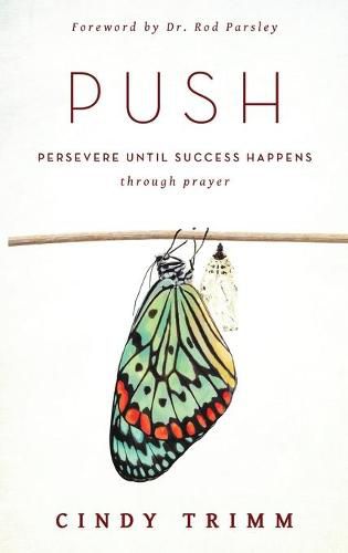 Cover image for Push