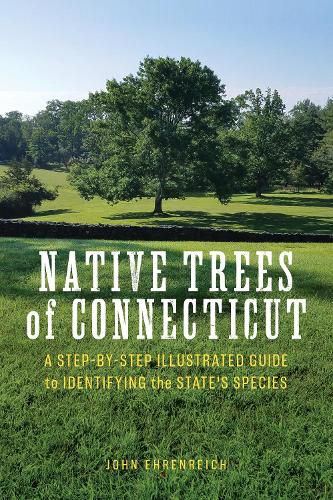 Cover image for Native Trees of Connecticut: A Step-by-Step Illustrated Guide to Identifying the State's Species