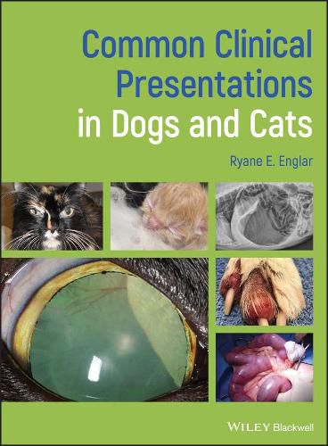 Cover image for Common Clinical Presentations in Dogs and Cats