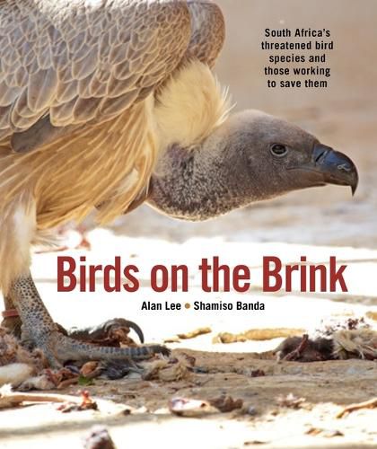 Cover image for Birds on the Brink
