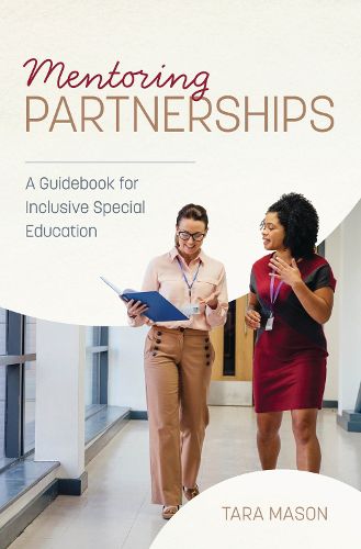 Cover image for Mentoring Partnerships