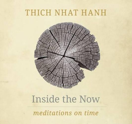 Cover image for Inside the Now: Meditations on Time