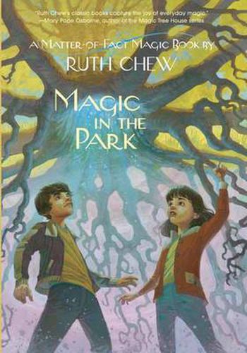 Cover image for A Matter-of-Fact Magic Book: Magic in the Park