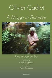 Cover image for A Mage in Summer