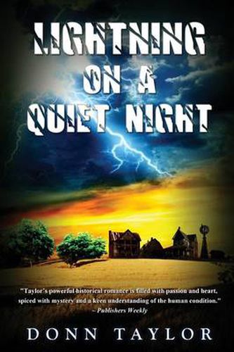Cover image for Lightning on a Quiet Night