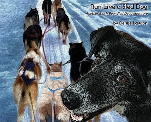 Cover image for Run Like a Sled Dog: Another Black Bear Sled Dog Adventure