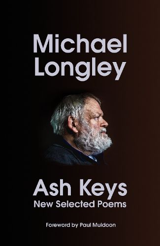 Cover image for Ash Keys