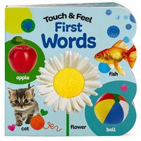 Cover image for Touch and Feel First Words