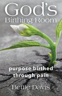 Cover image for God's Birthing Room: Purpose Birthed Through Pain