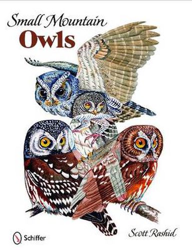Cover image for Small Mountain Owls