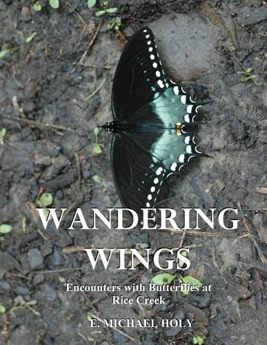 Cover image for Wandering Wings