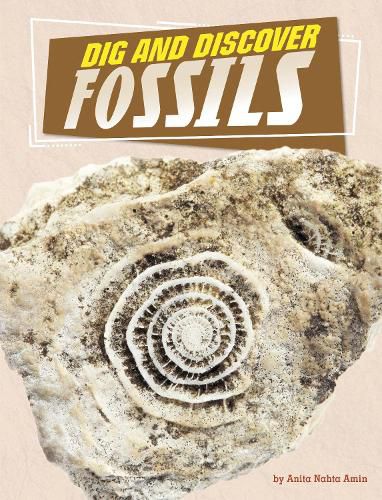 Cover image for Dig and Discover Fossils